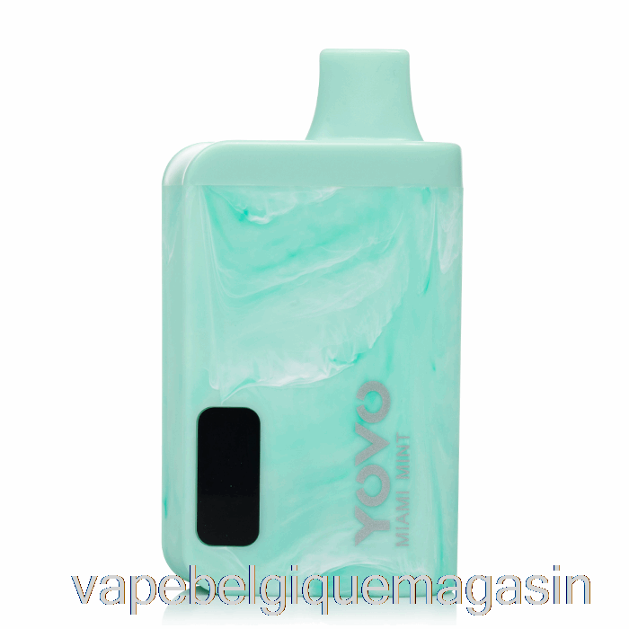 Vape Jus Yovo Jb8000 Jetable Miami Menthe